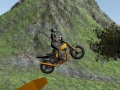 Game Dirt Bike Rider