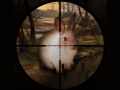 Game Classical Rabbit Sniper Hunting 2019