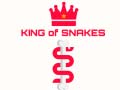 Jeu King Of Snakes