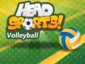 Jeu Head Sports Volleyball
