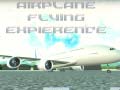 Game Airplane Flying Expierence