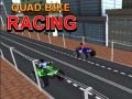 Jeu Quad Bike Racing