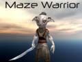 Jeu Maze Warrior