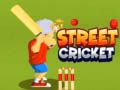 Jeu Street Cricket