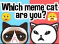 Jeu Which Meme Cat Are You?