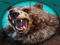 Game Wild Bear Hunting