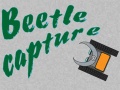 Jeu Beetle Capture
