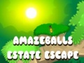 Game Amazeballs Estate Escape