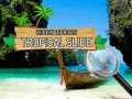 Jeu Hidden Objects: Tropical Slide