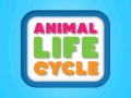 Jeu Animal Life Cycle