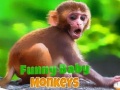 Game Funny Baby Monkey