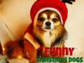 Jeu Funny Christmas Dogs