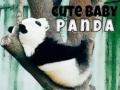 Jeu Cute Baby Panda