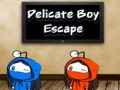 Game Delicate Boy Escape
