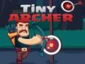 Game Tiny Archer