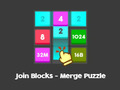 Game Join Blocks Merge Puzzle