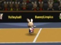 Game Bunny volleyball