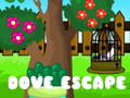 Game Dove Escape