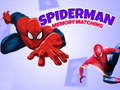 Game Spiderman Memory Matching