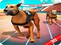 Jeu Crazy Dog Race