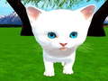 Game Cutie cat
