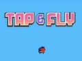 Game Tap Fly