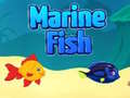Game Marine Fish