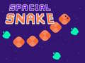 Game Spacial Snake