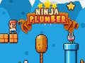 Game Ninja Plumber