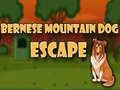 Jeu Bernese Mountain Dog Escape