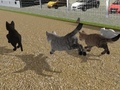 Jeu Run Cat Cat Race
