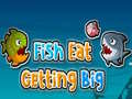 Game Fish Eat Getting Big
