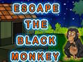 Jeu Escape The Black Monkey