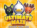 Game Ultimate Maze! Collect Them All!