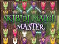Game Skibidi Match Master
