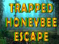 Jeu Trapped Honeybee Escape