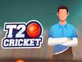 Game T20 Cricket