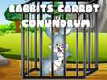 Jeu Rabbits Carrot Conundrum