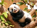 Jeu Jigsaw Puzzle: Panda On Tree