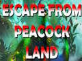 Jeu Escape From Peacock Land