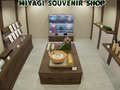 Game Miyagi Souvenir Shop