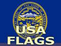Jeu Usa Flags 
