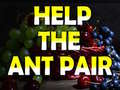 Jeu Help The Ant Pair