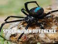 Jeu Spider Hidden Difference