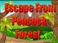 Jeu Escape From Peacock Forest