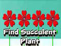 Jeu Find Succulent Plant