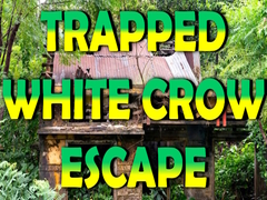 Jeu Trapped White Crow Escape