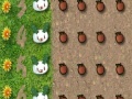 Game Cute Rabbit Zuma