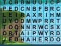 Game Search words 9