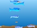 Game Aquarium fish